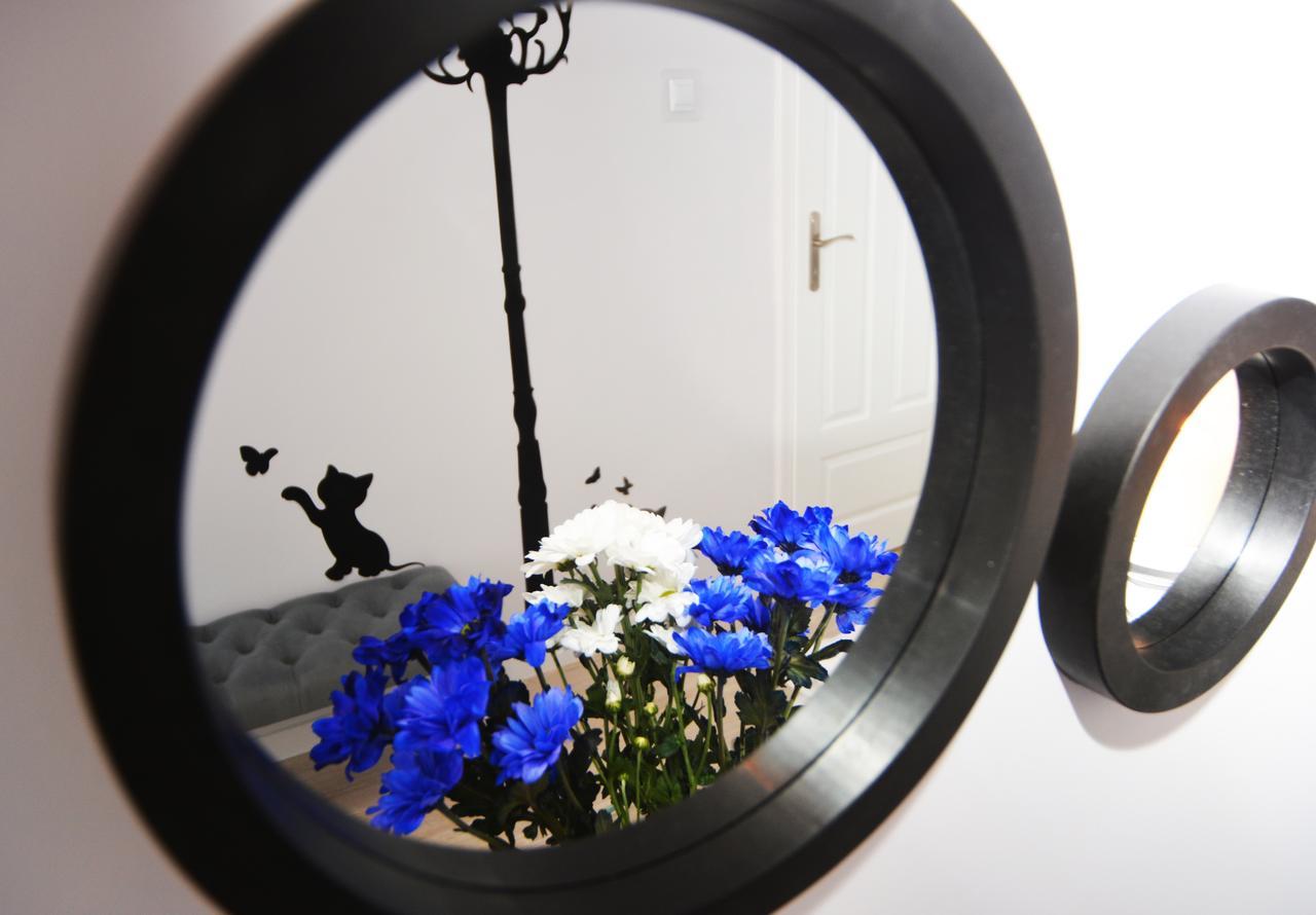Apartament Pod Kopernikiem II Stary Toruń المظهر الخارجي الصورة