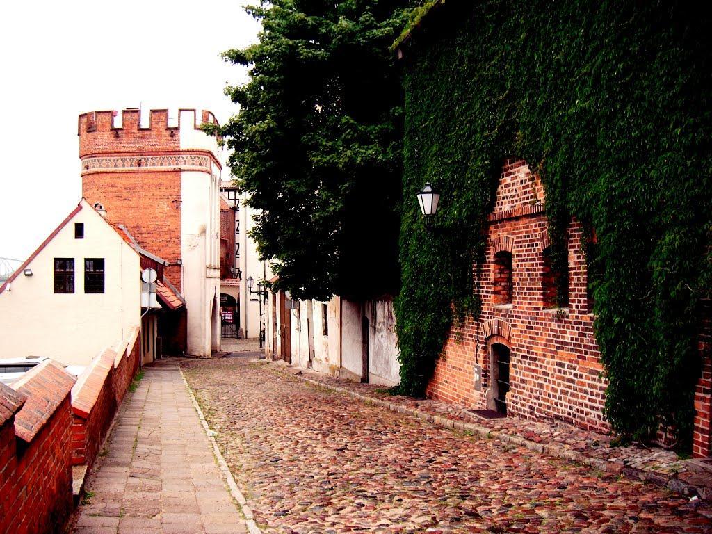 Apartament Pod Kopernikiem II Stary Toruń المظهر الخارجي الصورة